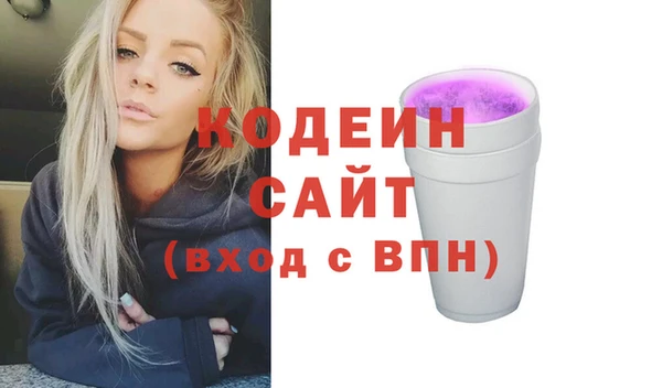 2c-b Бородино