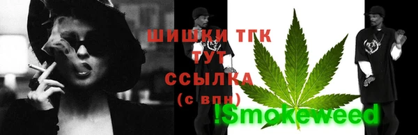 2c-b Бородино