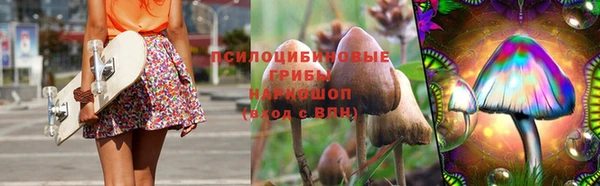 2c-b Бородино